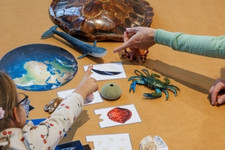 Staatliches Museum für Naturkunde Karlsruhe